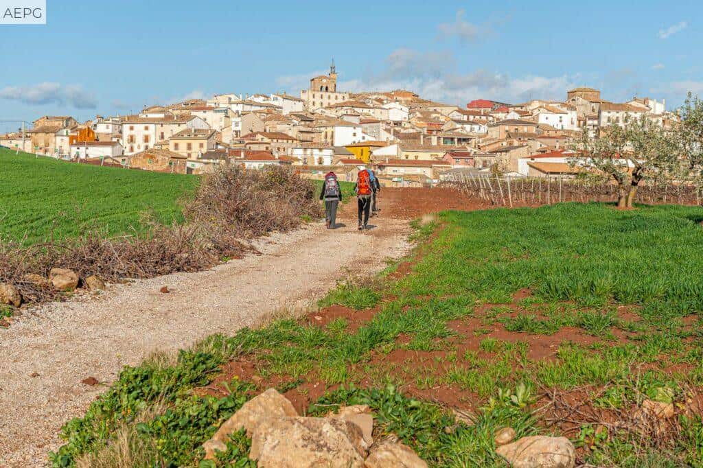 tendencia del Camino de Santiago