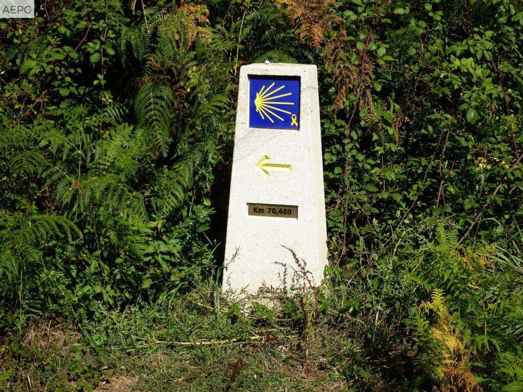 tendencia Camino de Santiago