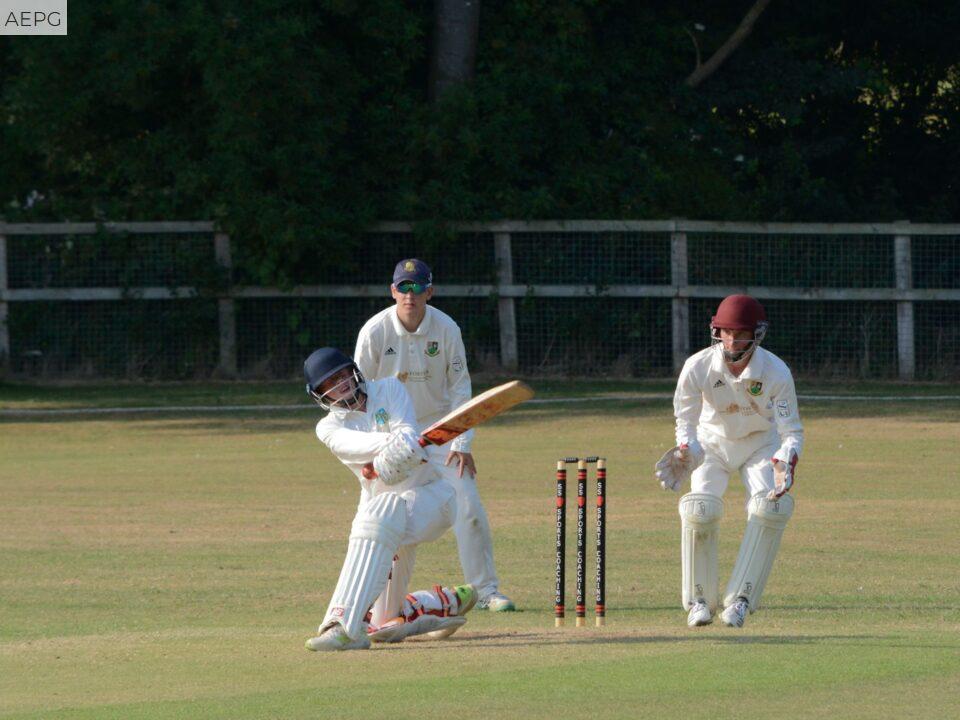 cricket