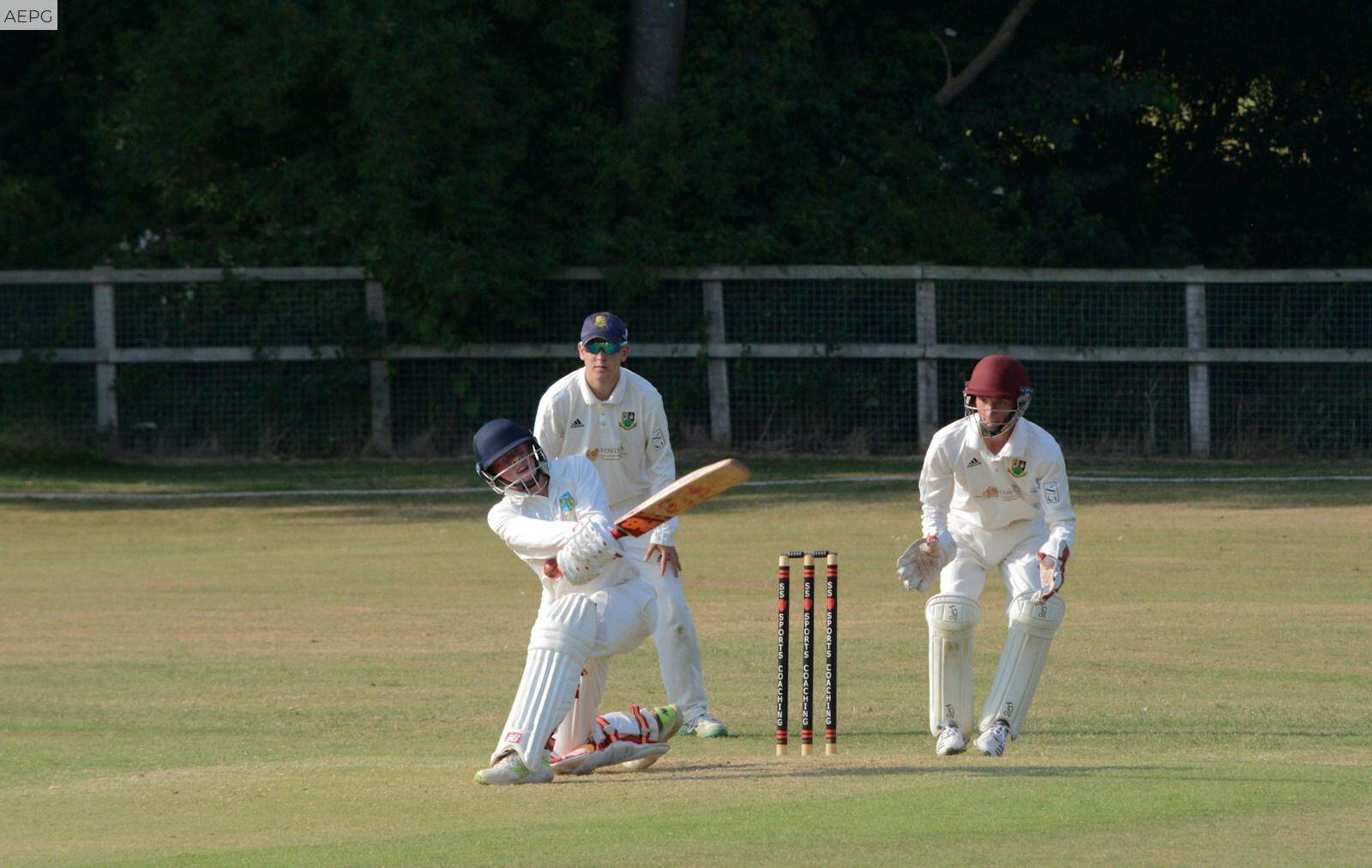 cricket