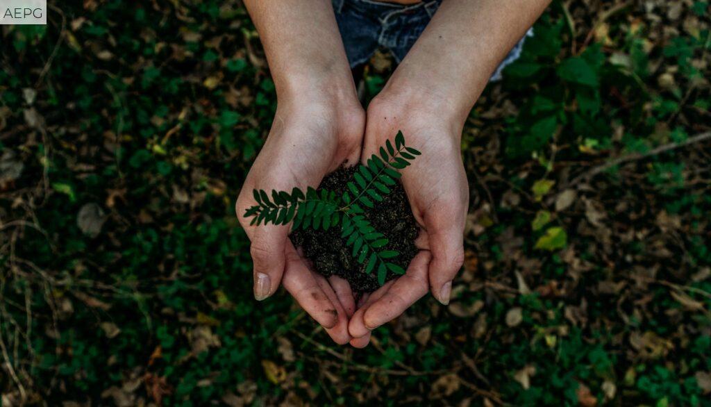 cambios que pueden tener un impacto ambiental